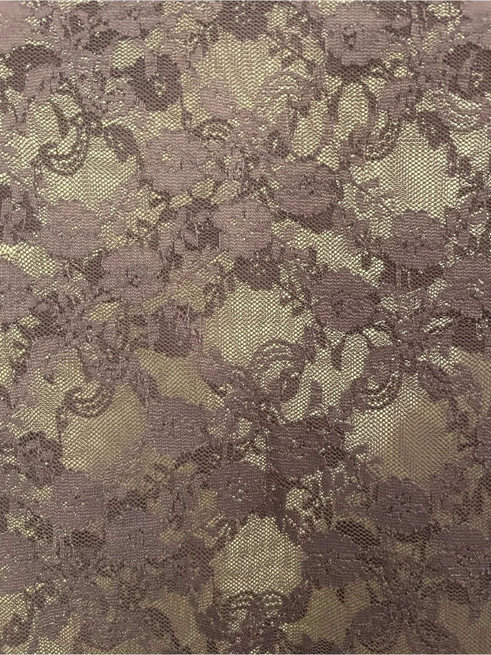 Urban Outfitters Purple Sheer Lace Long Sleeve Tee